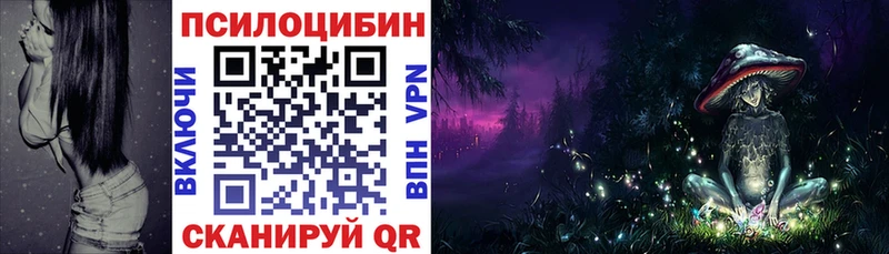 Купить  Мичуринск  Галлюциногенные грибы MAGIC MUSHROOMS 